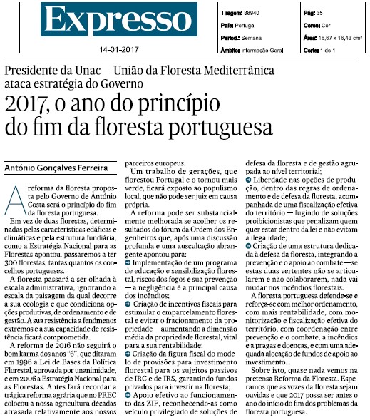 Artigo de opinião - "2017, o ano do princípio  do fim da floresta portuguesa"
